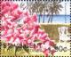 Colnect-4016-692-Bougainvillea-glabra.jpg