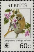Colnect-1659-378-Young-monkey-in-tree.jpg