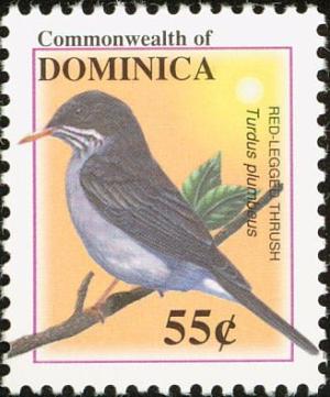 Colnect-1748-130-Red-legged-Thrush-nbsp-Turdus-plumbeus-nbsp-.jpg