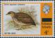 Colnect-3961-267-Red-backed-Buttonquail-Turnix-maculosus.jpg