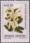 Colnect-563-133-Pata-de-Vaca-Bauhinia-candicans.jpg