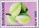 Colnect-4090-044-Averrhoa-carambola.jpg