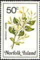 Colnect-2167-362-Jasminum-volubile---Stiff-jasmine.jpg