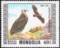 Colnect-859-473-Cinereous-Vulture-Aegypius-monachus.jpg