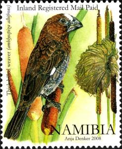 Colnect-2769-588-Thick-billed-Weaver-Amblyospiza-albifrons.jpg