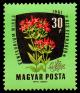 1419_Flowers_30.jpg