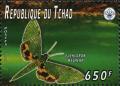 Colnect-2995-033-Verdant-Hawk-moth-Euchloron-megaera.jpg