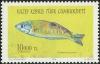 Colnect-2208-094-Ornate-Wrasse-Thalassoma-pavo.jpg