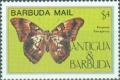 Colnect-2056-931-Neotropical-Charaxine-Butterfly-Prepona-xenagoras.jpg