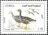 SY026.02.jpg