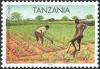 TZ015.04.jpg