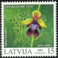LV005.03.jpg