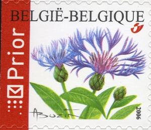 BE079.06.jpg