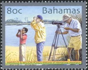 BS006.04.jpg