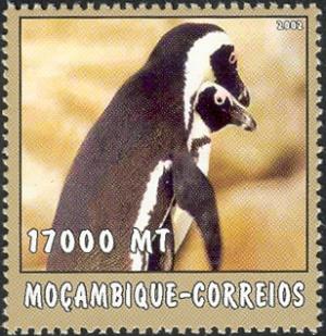 MZ507.02.jpg