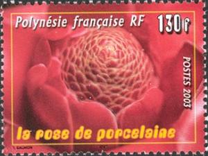 PF017.03.jpg