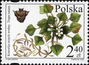 PL007.06.jpg