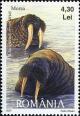 RO105.07.jpg