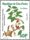 CI008.13.jpg