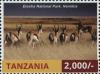 TZ010.16.jpg