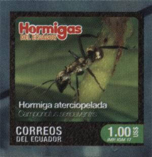 EC018.17.jpg