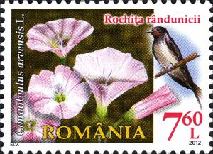 RO006.12.jpg