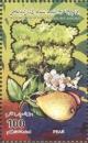 Colnect-5476-492-Pears.jpg