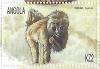 Colnect-5192-656-Baboon.jpg