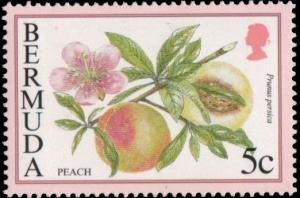 Colnect-3197-672-Peach.jpg