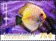 Colnect-5812-658-Discus.jpg