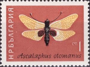Colnect-3175-553-Owlfly-Ascalaphus-otomanus-.jpg