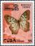Colnect-1741-774-White-Peacock-Anartia-jatrophae-guantanamo.jpg
