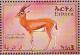 Colnect-5187-690-wild-animals-of-Eritrea.jpg