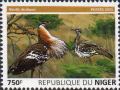 Colnect-4179-098-Denham-s-Bustard-Neotis-denhami.jpg