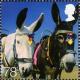 Colnect-450-252-Beach-Donkeys.jpg