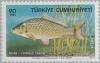 Colnect-2579-497-Common-Carp-Cyprinus-carpio.jpg