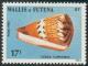 Colnect-897-424-Captain-Cone-Conus-capitaneus.jpg