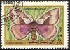 Colnect-1003-586-Moth-Dirphia-multicolor.jpg