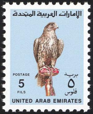 Colnect-1497-337-Saker-Falcon-Falco-cherrug.jpg