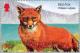 Colnect-121-134-Red-Fox-Vulpes-vulpes.jpg