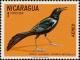 Colnect-1625-997-Great-tailed-Grackle-Quiscalus-mexicanus.jpg