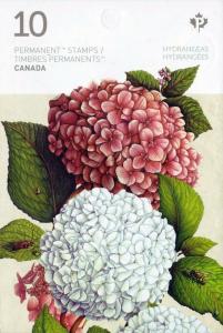 Colnect-3643-741-Hydrangea-back.jpg