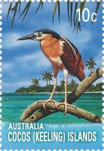 Colnect-2734-812-Nankeen-Night-Heron-Nycticorax-caledonicus.jpg