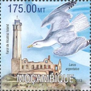 Colnect-2368-470-Alcatraz-Island-Herring-Gull-Larus-argentatus.jpg