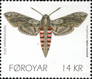 Colnect-4480-634-Convolvulus-Hawkmoth-Agrius-convolvuli.jpg