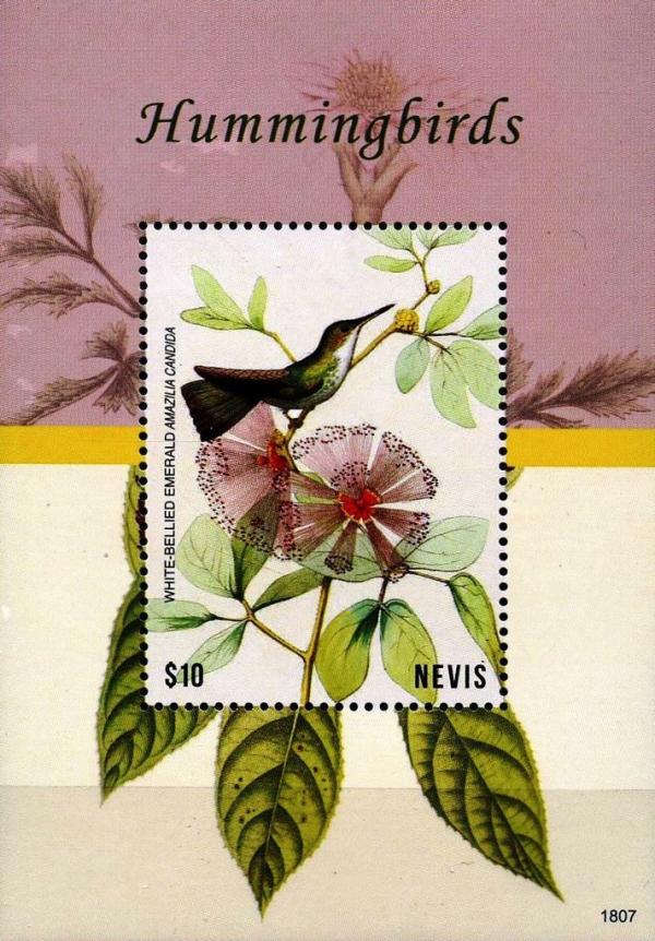 Colnect-5164-930-Hummingbirds-2.jpg