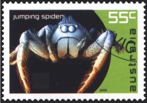 Colnect-1539-783-Jumping-Spider.jpg