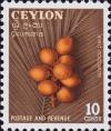 Colnect-3519-255-King-Coconuts.jpg