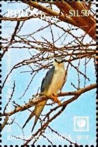 Colnect-6252-083-Scissor-tailed-Kite---Chelictinia-riocourii.jpg