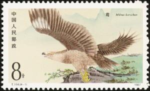 Colnect-4048-384-Black-Kite-Milvus-migrans.jpg